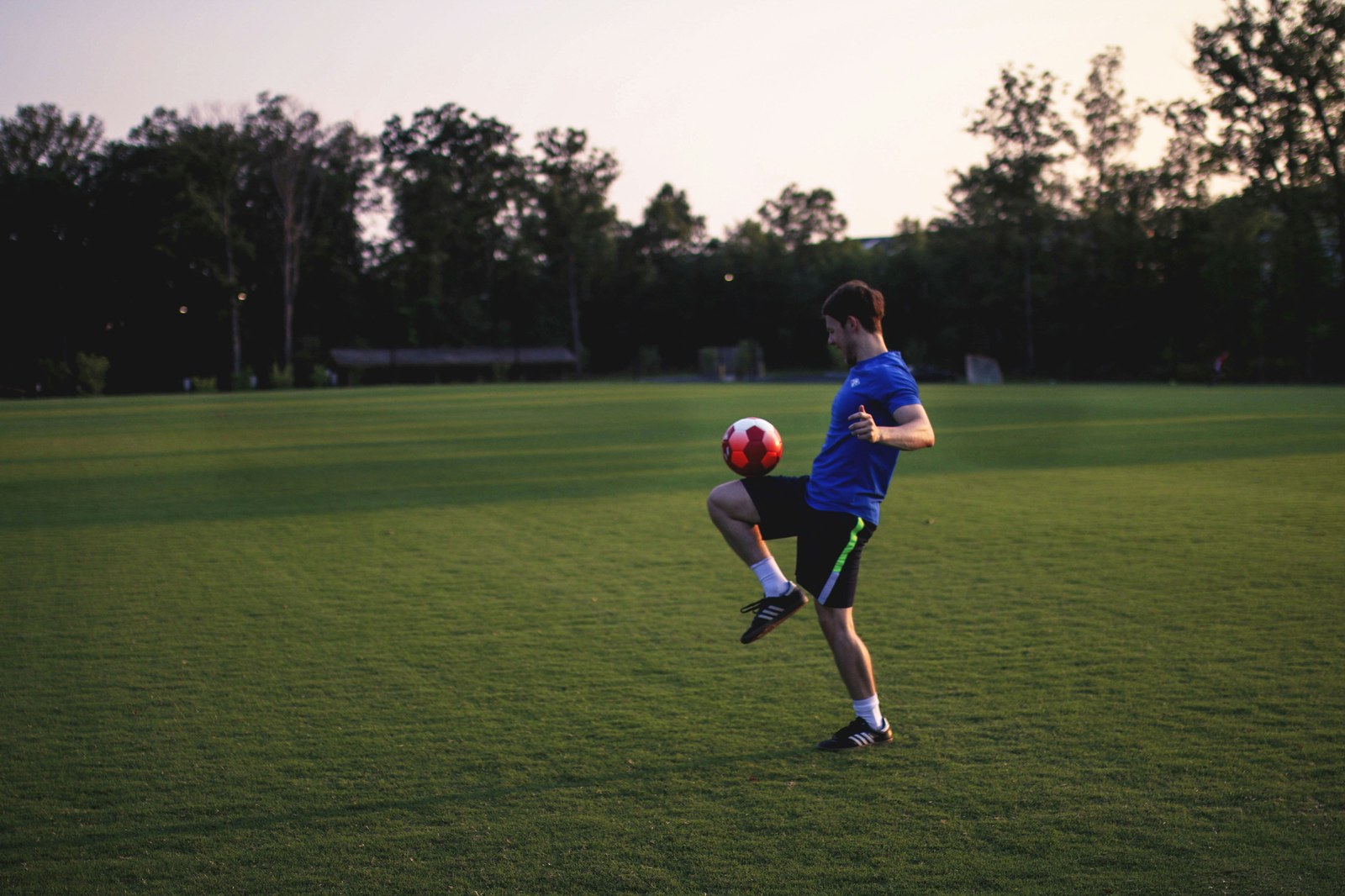 必一体育 · 体育栏目服务配图(示意)